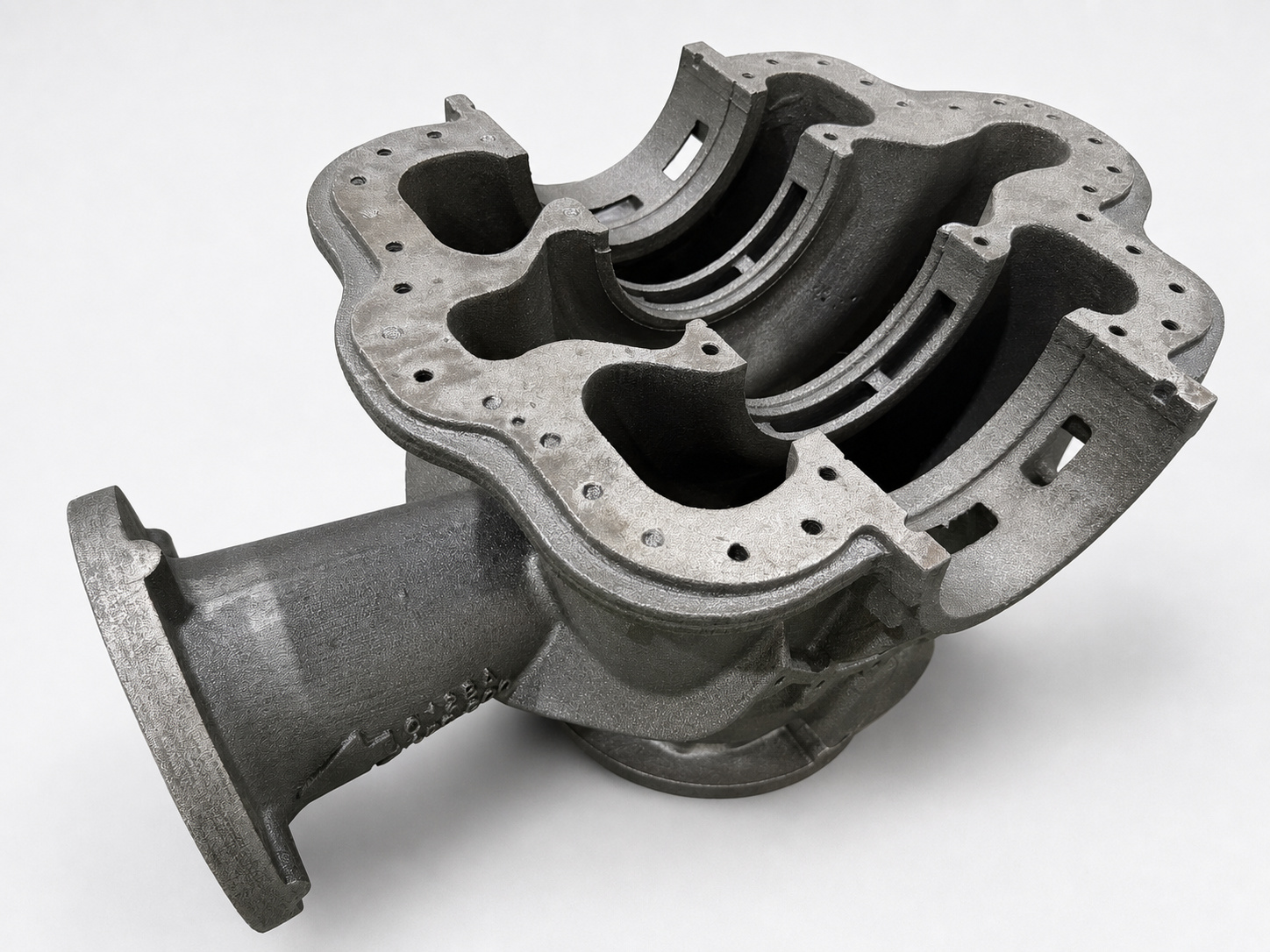 Alternative sectioned overview of the cast iron pump casing