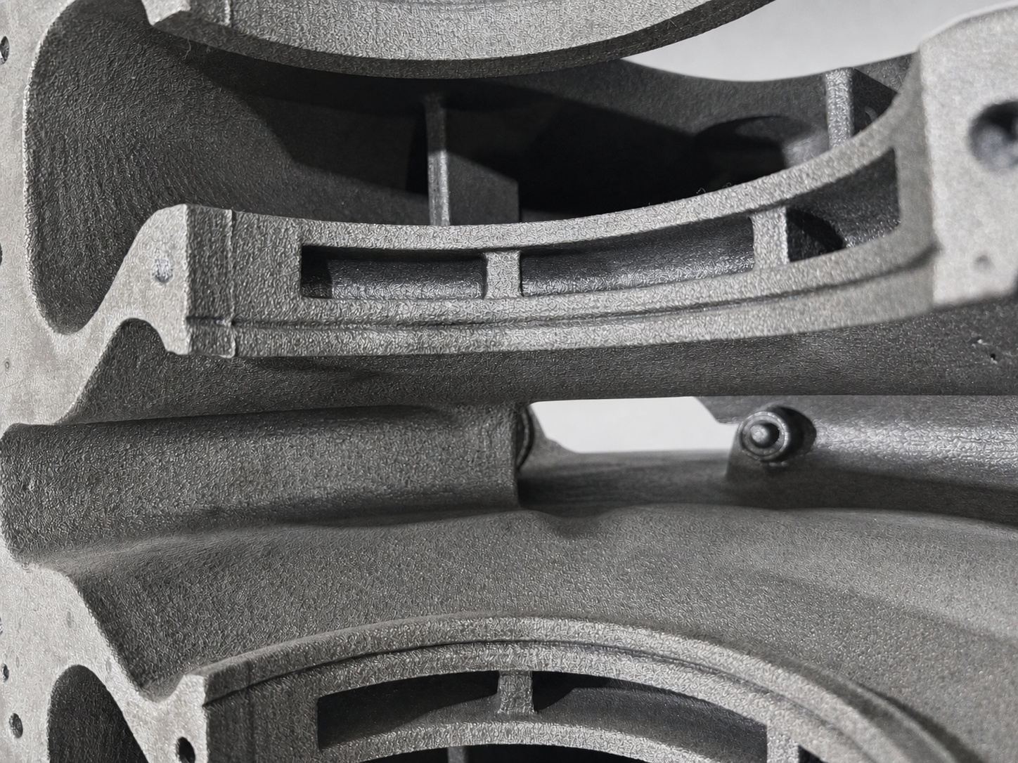 Angled view of the sectioned pump casing and internal cavities